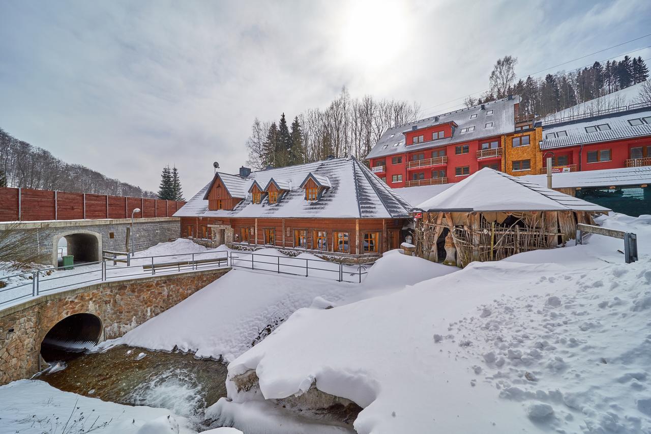 Chalet Baba-jaga Zacler